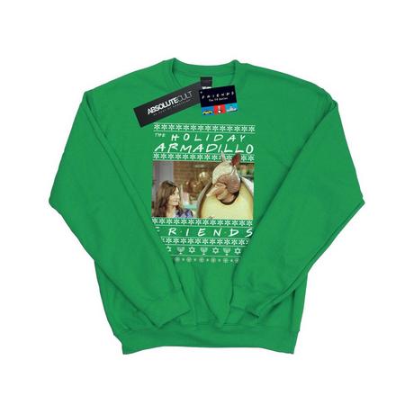 Friends  Holiday Armadillo Sweatshirt 