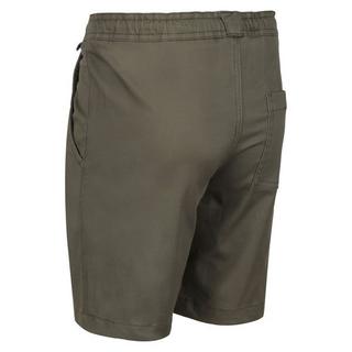 Regatta  Alber Shorts 