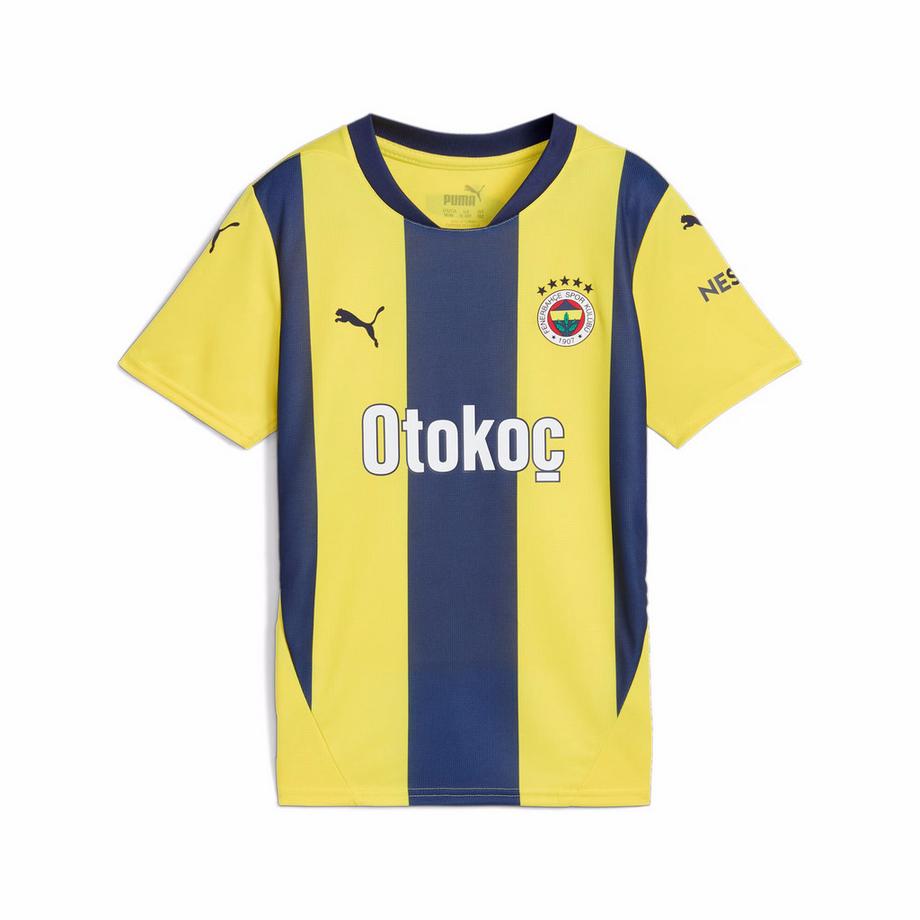 heimtrikot kinder fenerbahçe 2024/25