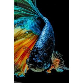 KARE Design Tableau en verre Aqua Queen Fish 100x100  