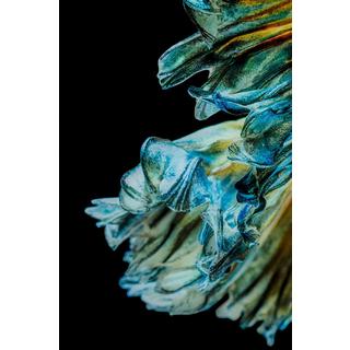 KARE Design Tableau en verre Aqua Queen Fish 100x100  