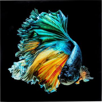 Tableau en verre Aqua Queen Fish 100x100