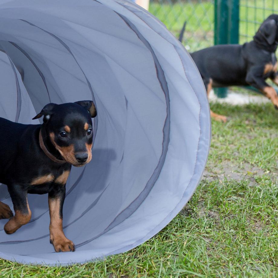 B2X  Hundetunnel Agility 3m 