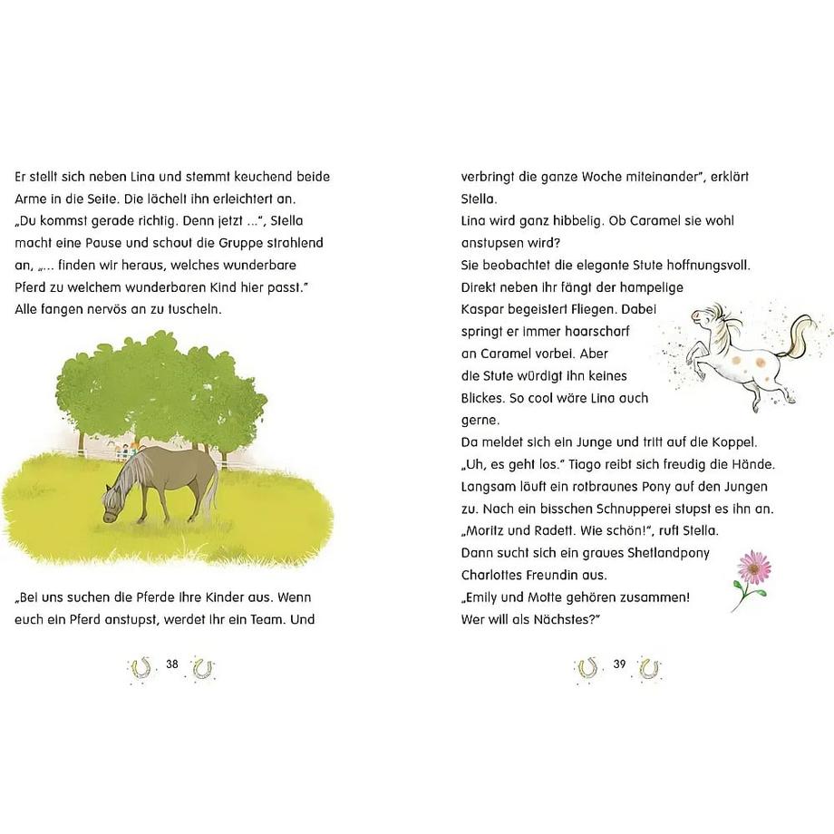 Penguin JUNIOR - Einfach selbst lesen: Zauberhufe - Unser magischer Ponyhof - Ein Chaos-Pony zum Verlieben Plaas-Link, Amelie; Cordes, Miriam (Illustrationen) Gebundene Ausgabe 