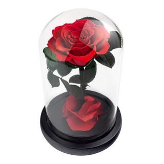 eStore Grande Rosa in Campana - Rossa  