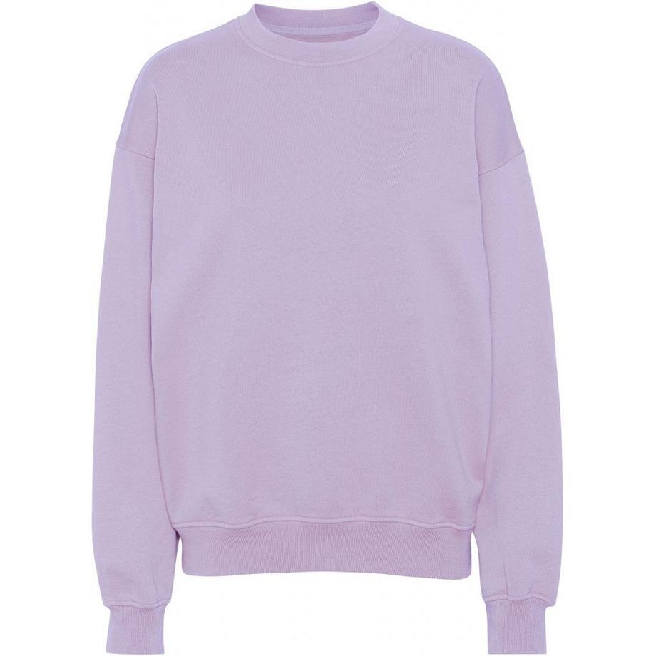 Colorful Standard Organic Oversized Soft Lavender Sweatshirt Col Rond  