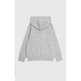 Champion  hooded sweatshirt 