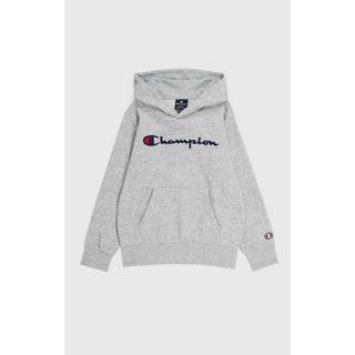 Champion  hooded sweatshirt 