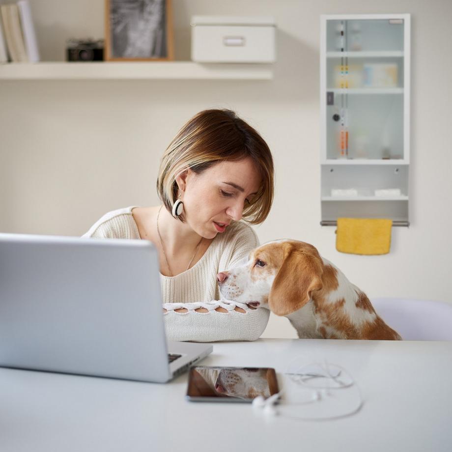 B2X Abschließbarer Medikamentenschrank mit Glastür  