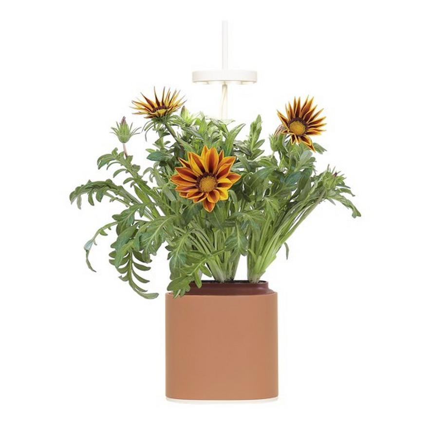 Prêt à Pousser  Jardin d'intérieur connecté Prêt à  Pousser Nano Garden 2,5 W Terracota 