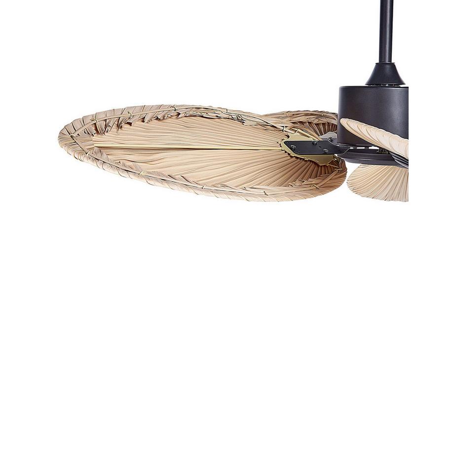 Beliani Ventilatore a soffitto en Foglia di palma Classico MAMMOTH  