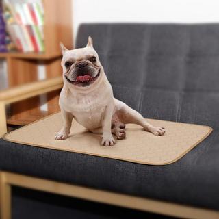 eStore  Tapis Absorbant Pour Chiens 