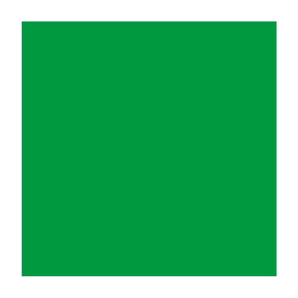 Talens TALENS Plakatfarbe 500ml 0972-6020 grün  