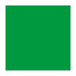 Talens TALENS Plakatfarbe 500ml 0972-6020 grün  