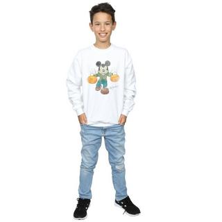 Disney  Sweatshirt 