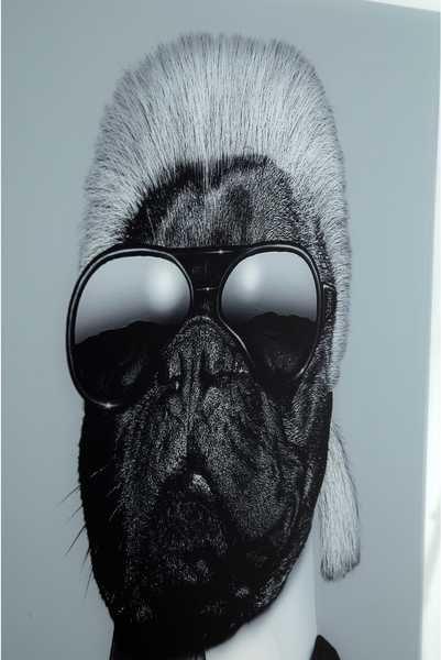 KARE Design Cornice per foto Specchio Designer Dog 60x60cm  