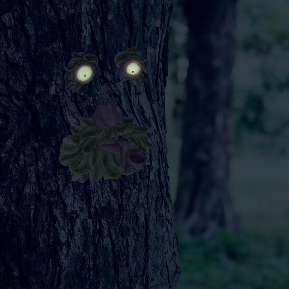 B2X  Vieil homme au visage d'arbre en 3 parties 