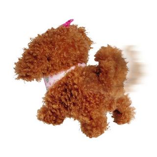 Simba  ChiChi Love Tea Cup Poodle Puppy 