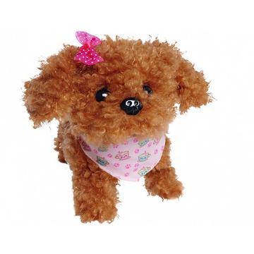 ChiChi Love Tea Cup Poodle Puppy