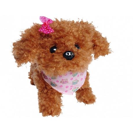 Simba  ChiChi Love Tea Cup Poodle Puppy 