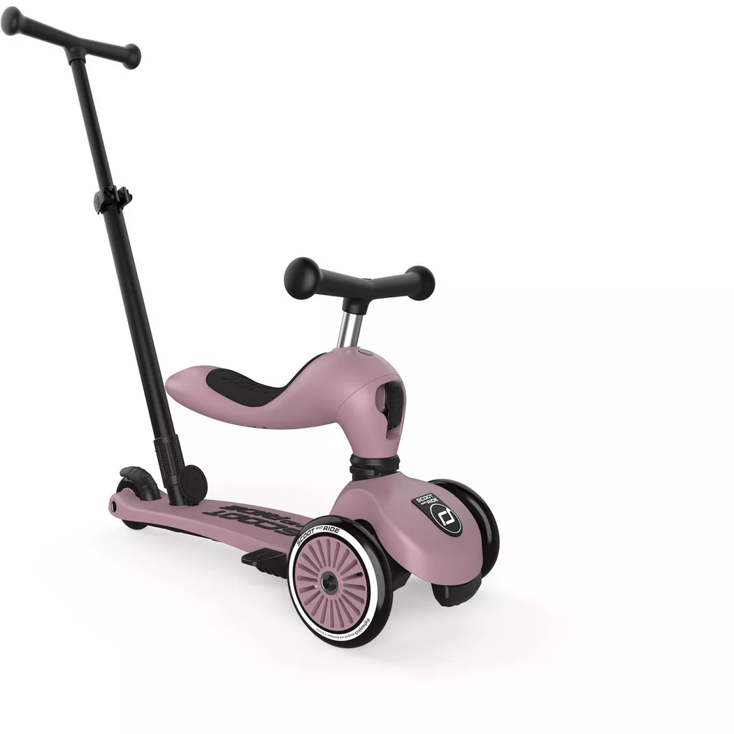 Laufrad "Scoot and Ride Push and Go"