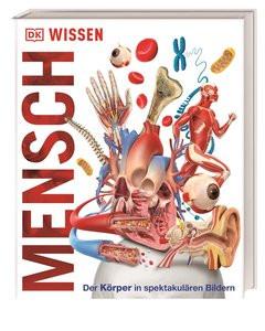 DK Wissen. Mensch Kein Autor Gebundene Ausgabe 