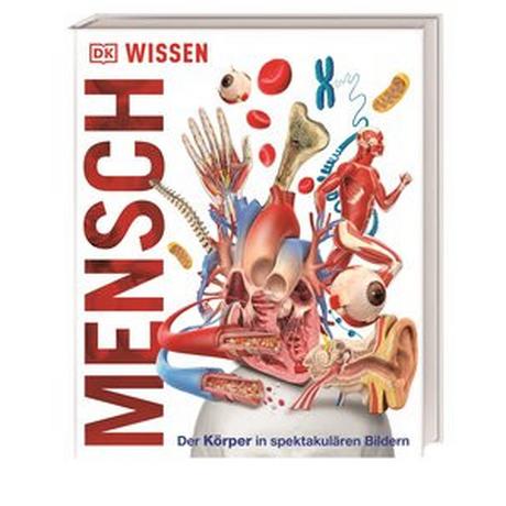 DK Wissen. Mensch Kein Autor Gebundene Ausgabe 