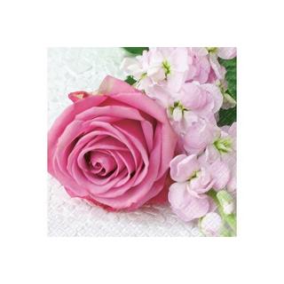 STEWO INTERNATIONAL STEWO Serviette Vanessa 25x25cm 2573621128 pink 20 Stück  