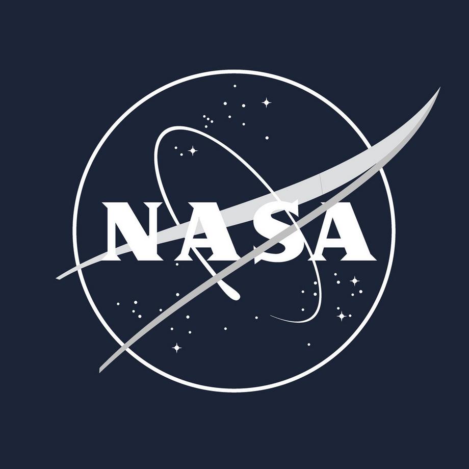 Nasa Galaxy Logo Felpa con Cappuccio  