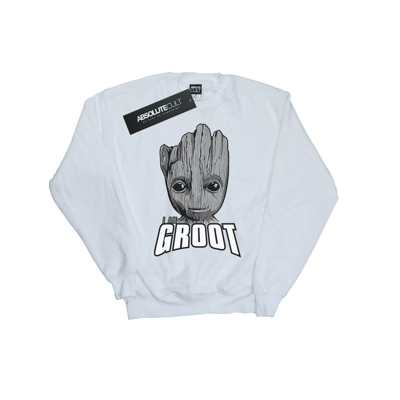 MARVEL  Guardians Of The Galaxy Sweatshirt 