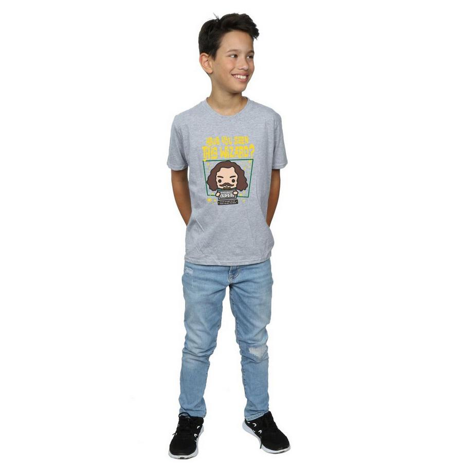 Harry Potter  Sirius Black Azkaban Junior TShirt 
