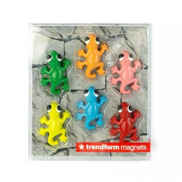 trendform Magnete GECKO 6er Set  