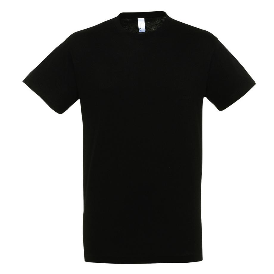 SOLS Regent Kurzarm T-Shirt  