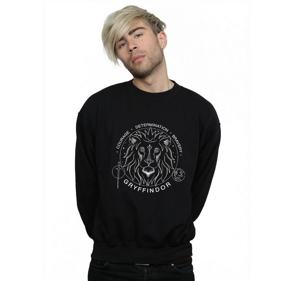 Harry Potter Gryffindor Felpa  