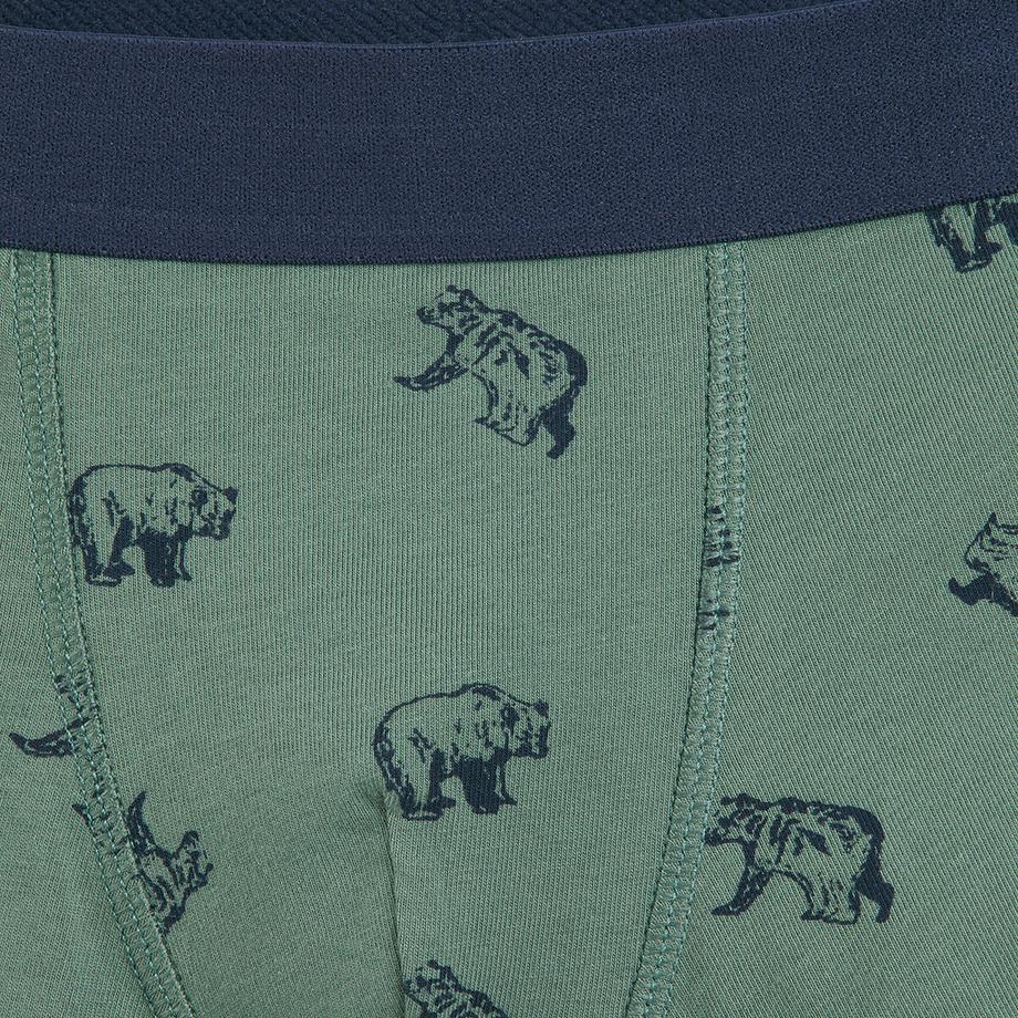 La Redoute Collections  Lot de 5 boxers 