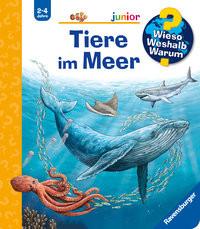 Wieso? Weshalb? Warum? junior, Band 57: Tiere im Meer van Saan, Anita; Wandtke, Sanna (Illustrationen) Gebundene Ausgabe 