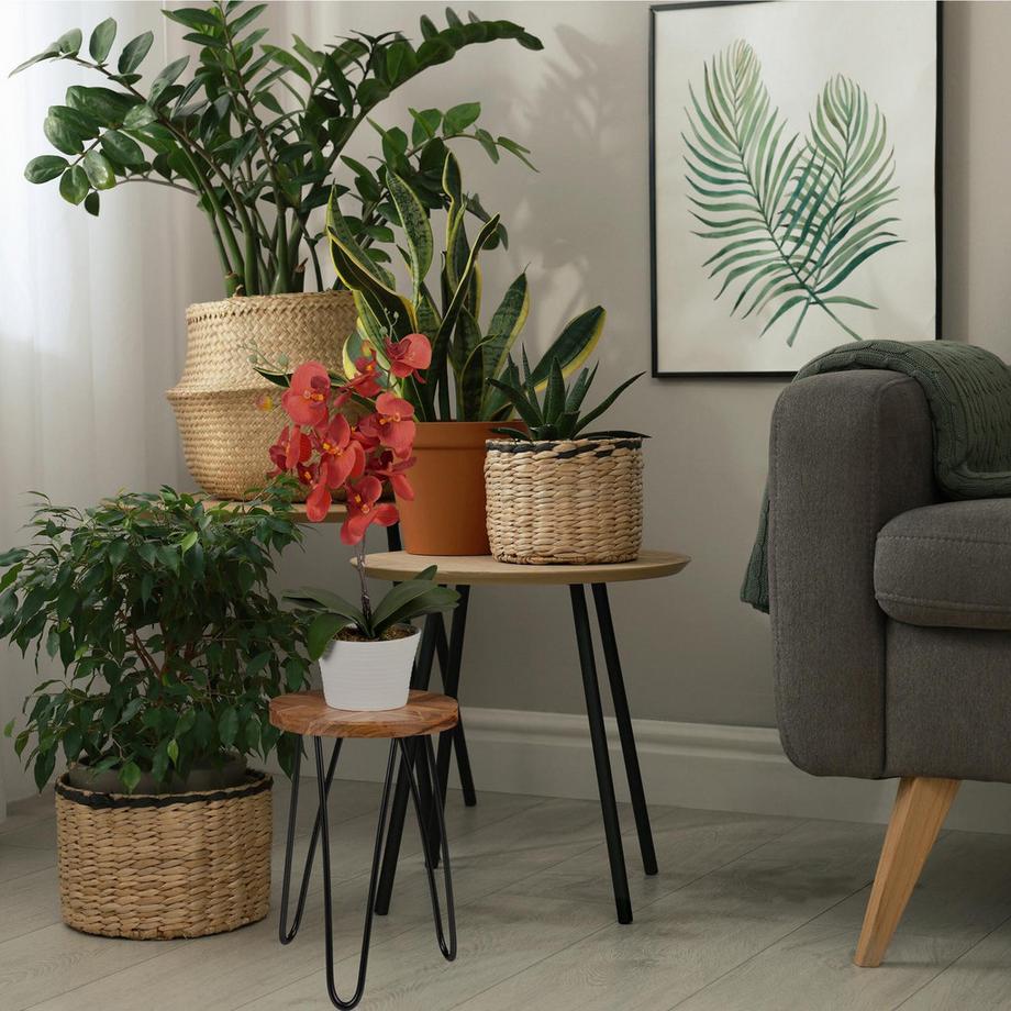 Northix Pflanzenständer mit Haarnadelbeinen  