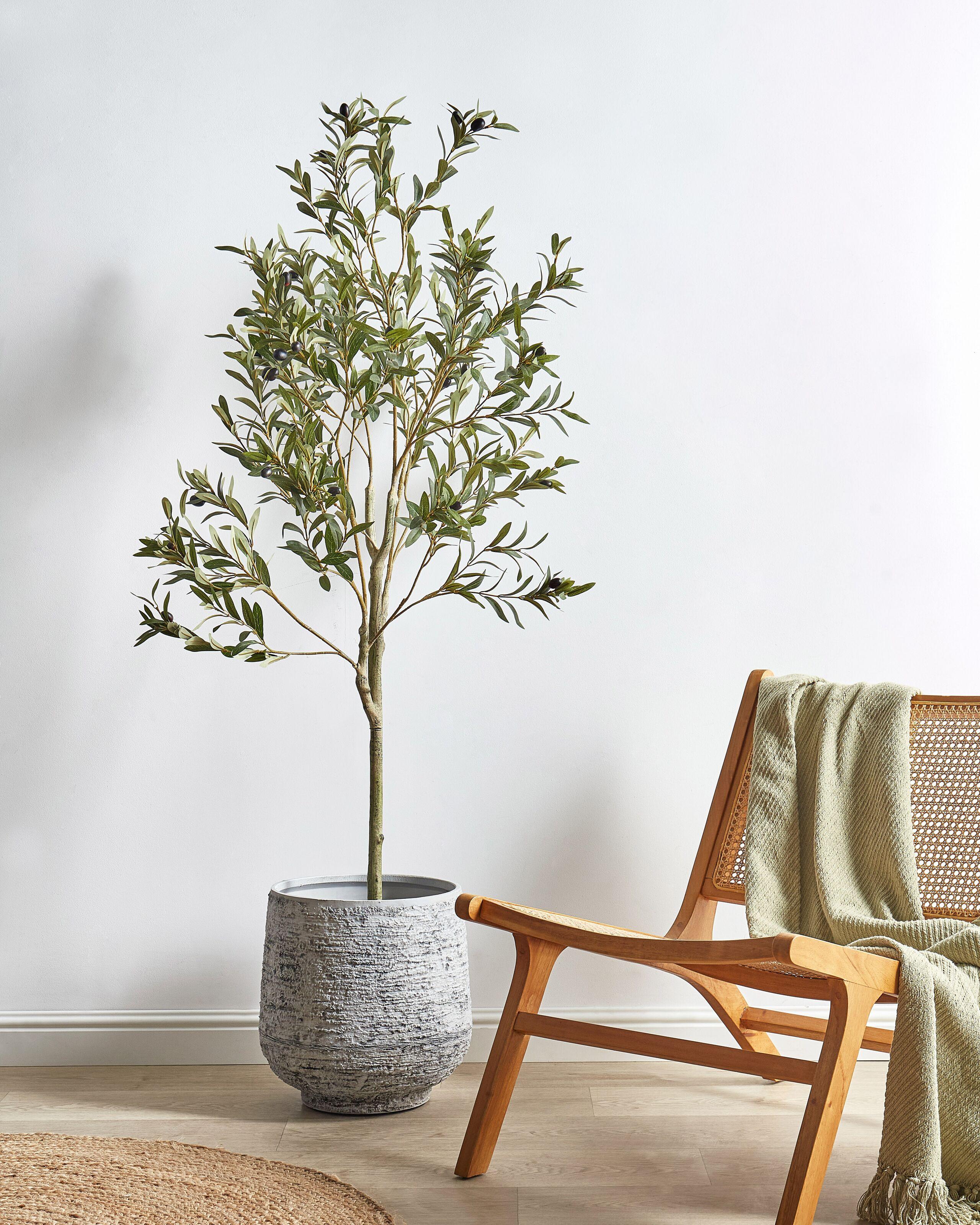 Beliani Plante artificielle en Matière synthétique Traditionnel OLIVE TREE  