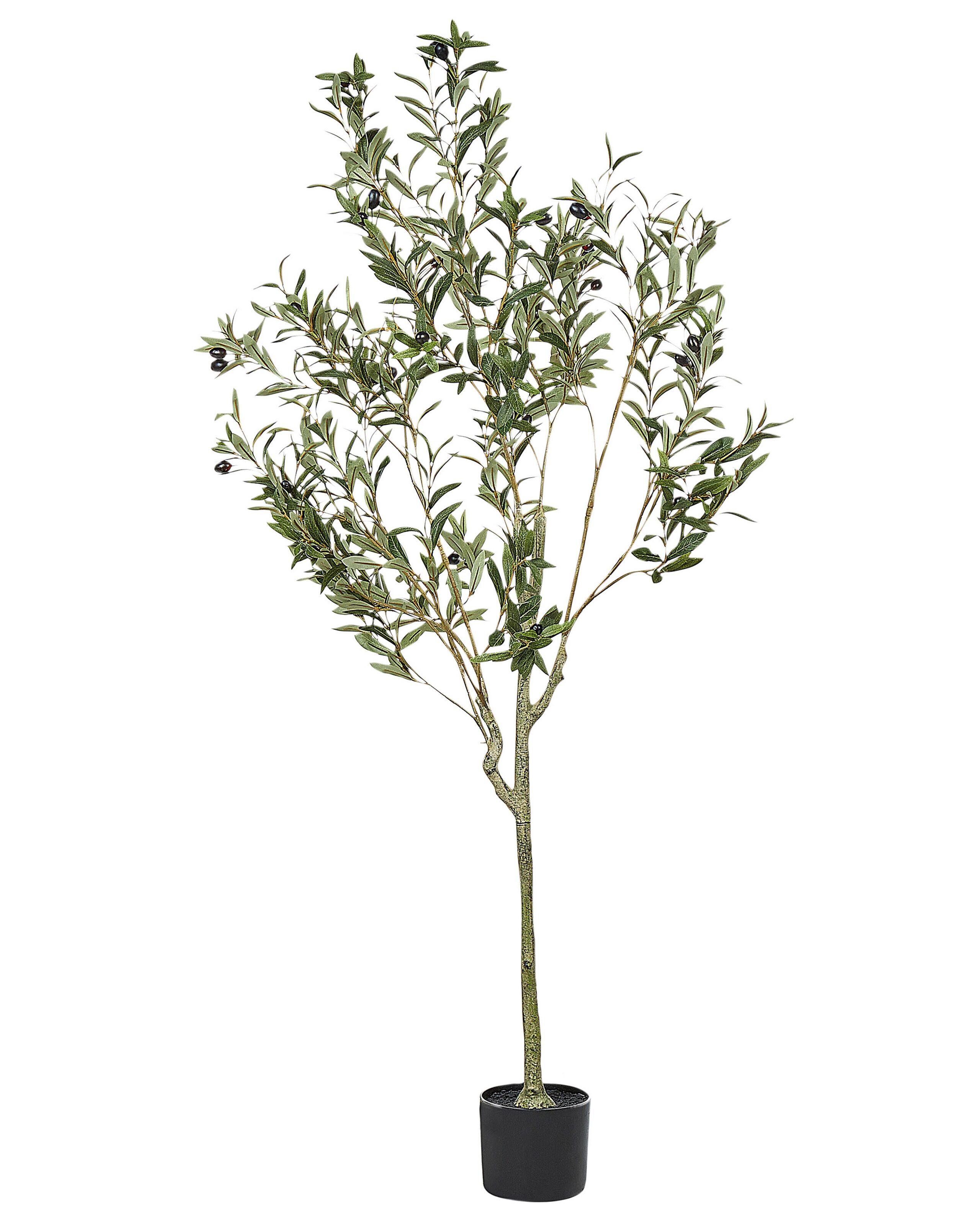 Beliani Plante artificielle en Matière synthétique Traditionnel OLIVE TREE  