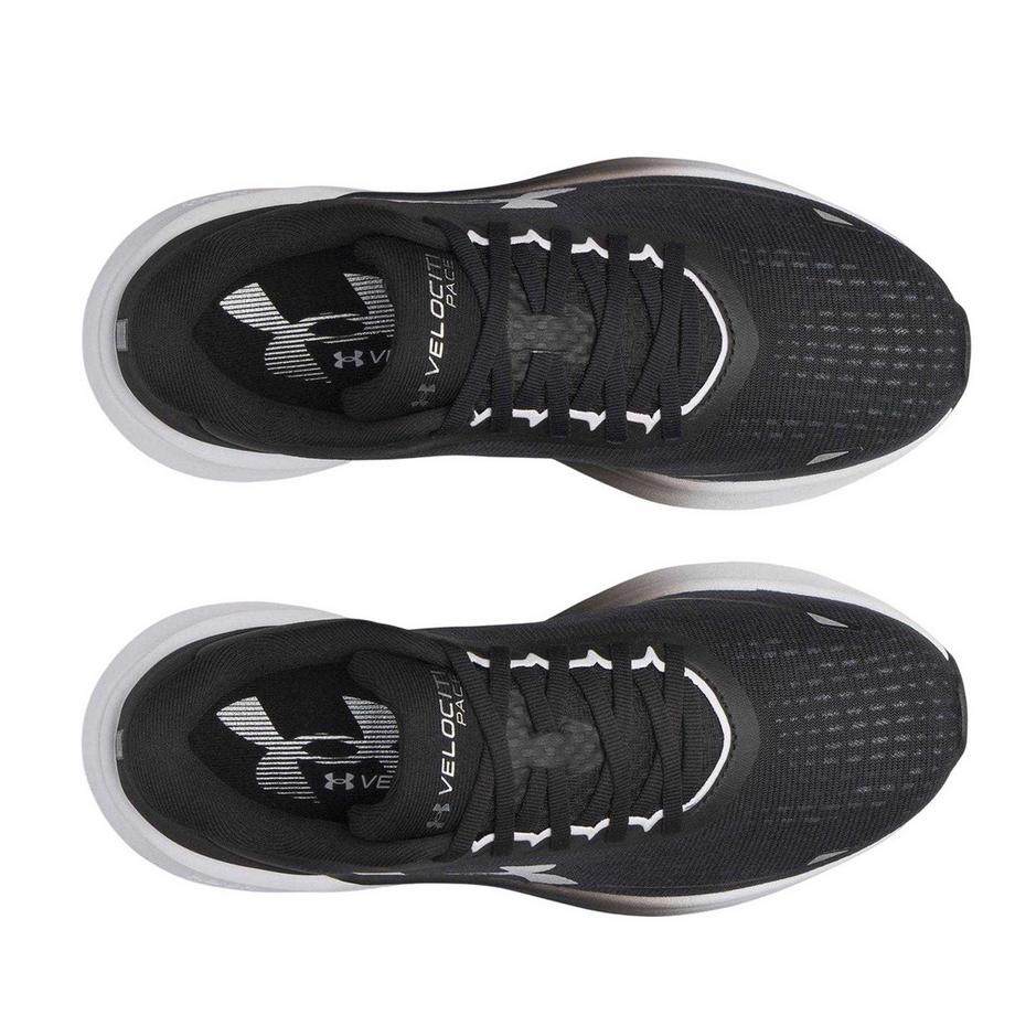 UNDER ARMOUR Scarpe da Corsa Velociti  