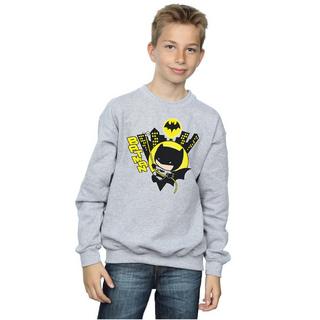 DC COMICS  Sweatshirt 