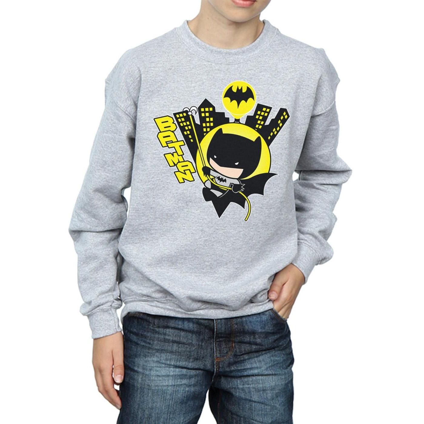 DC COMICS  Sweatshirt 