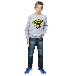 DC COMICS  Sweatshirt 