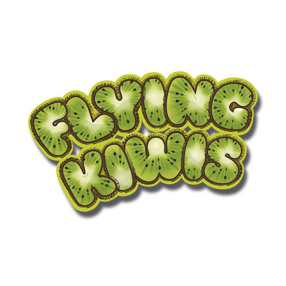 HUCH!  10 Jeu familial Flying Kiwis 880963 