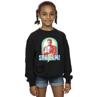 DC COMICS  Sweatshirt 