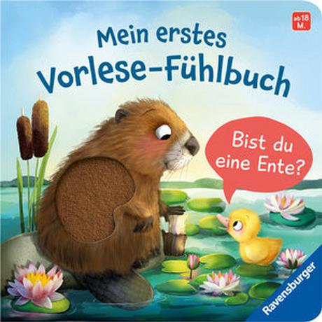 Mein erstes Vorlese-Fühlbuch: Bist du eine Ente? Orso, Kathrin Lena; Blanck, Iris (Illustrationen) Gebundene Ausgabe 