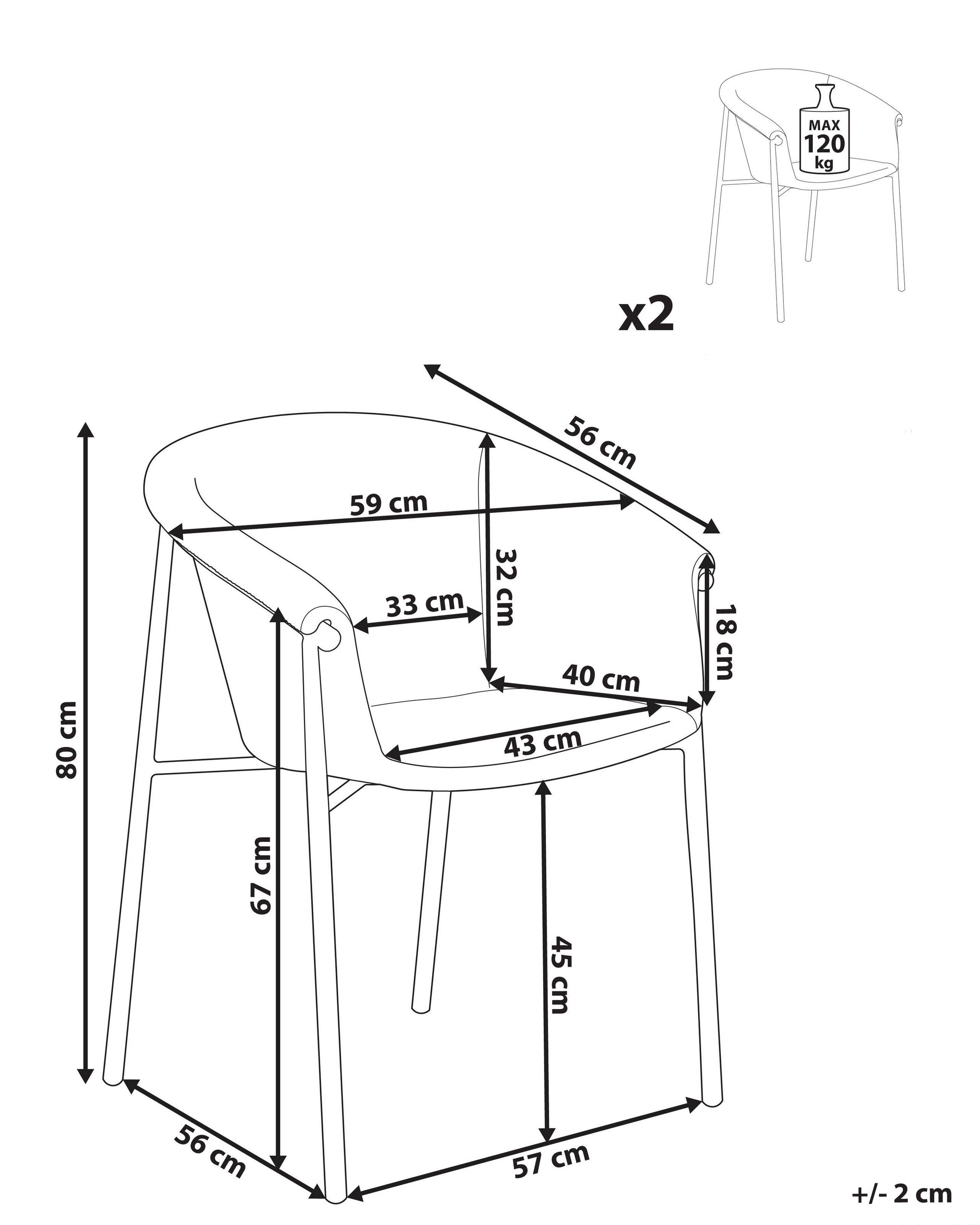 Beliani Lot de 2 chaises en Polyester Moderne AMES  