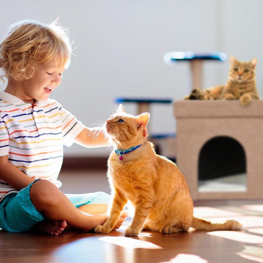 B2X  Grotte pour chat marron clair avec couvercle 