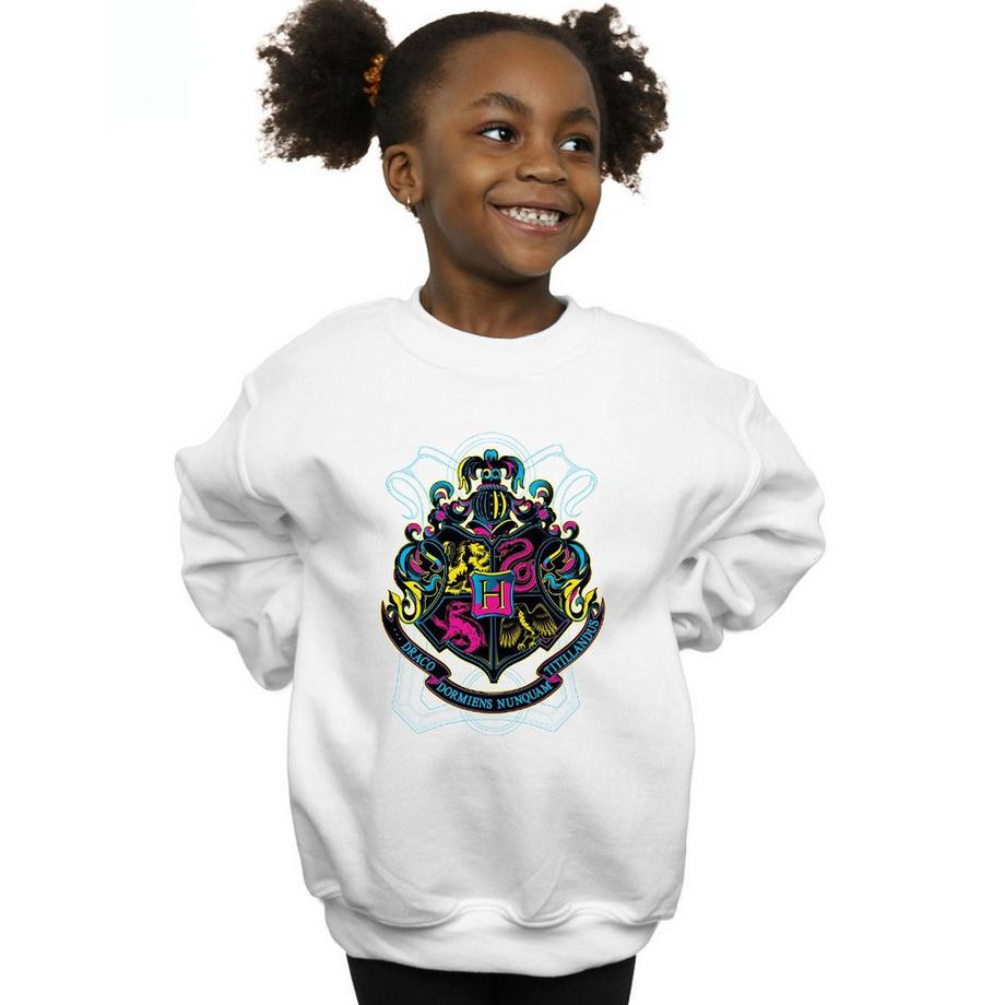 Harry Potter  Hogwarts Sweatshirt 