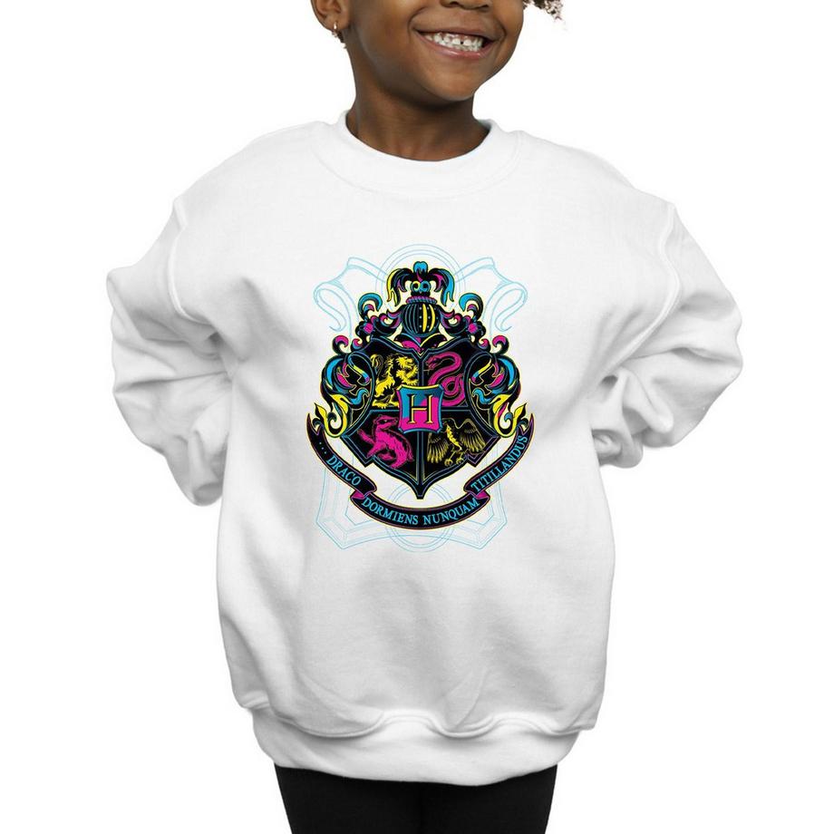 Harry Potter  Hogwarts Sweatshirt 